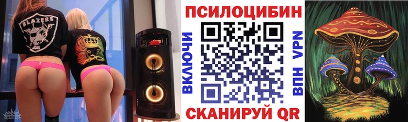 маркетплейс официальный сайт Карачев Псилоцибиновые грибы мицелий